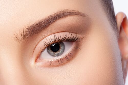 can eyelashes grow back
